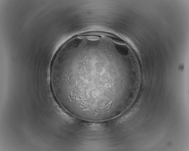 X0000091230839200708161715
