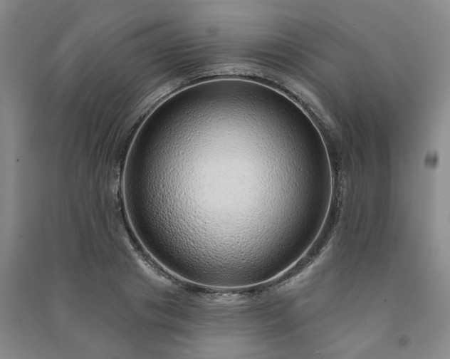 X0000091230841200708161715