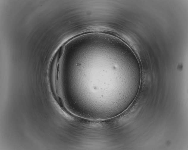 X0000091230843200708161715
