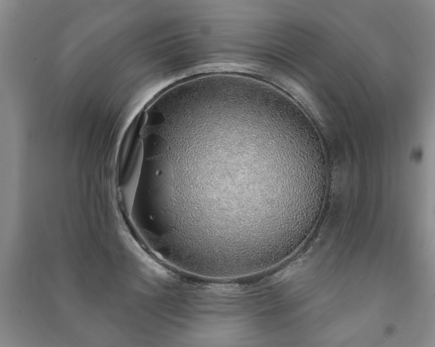 X0000091230844200708161715