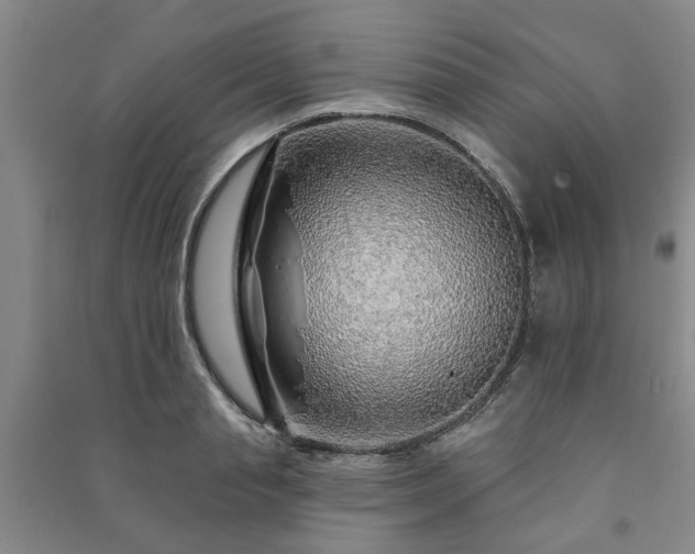 X0000091230845200708161715