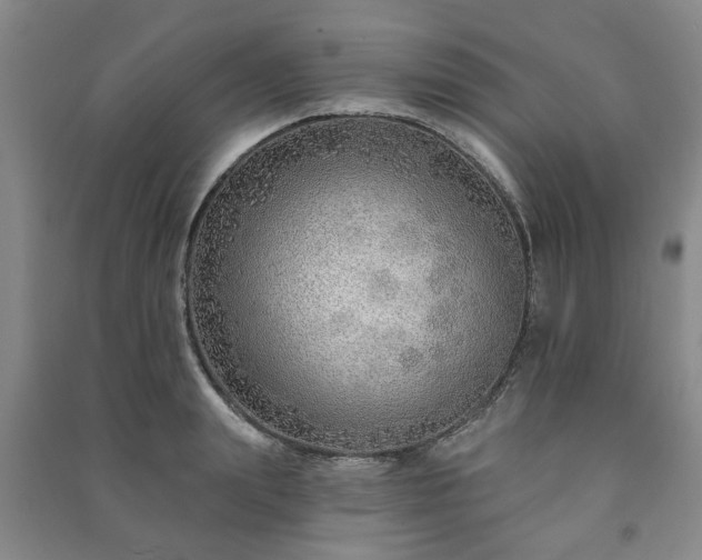 X0000091230847200708161715