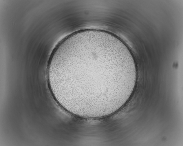 X0000091230848200708161715