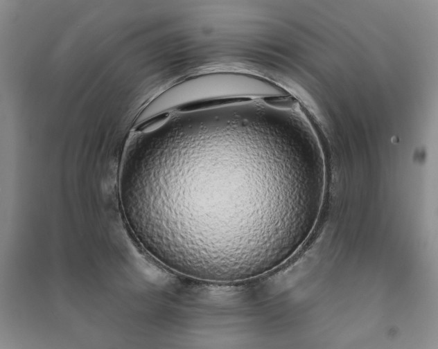 X0000091230849200708161715