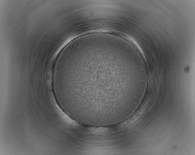 X0000091230851200708161715