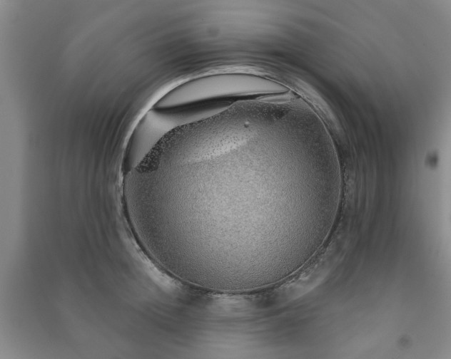 X0000091230852200708161715