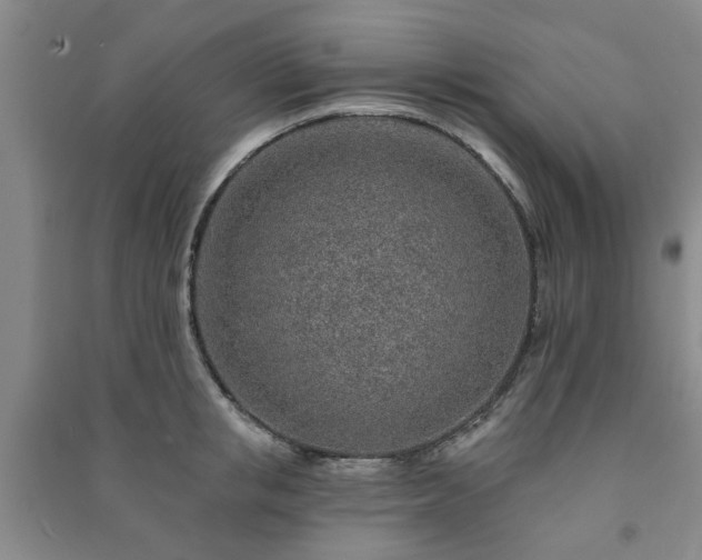 X0000091230853200708161715