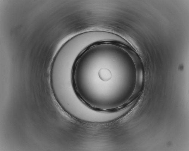 X0000091230854200708161715
