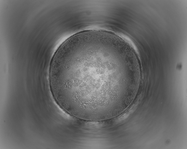 X0000091230855200708161715