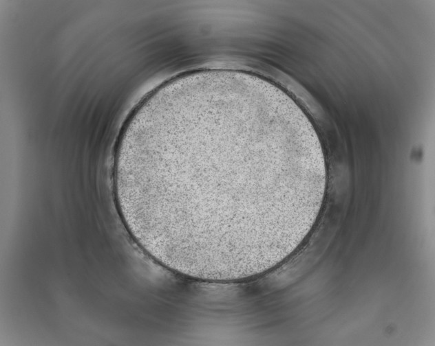 X0000091230856200708161715