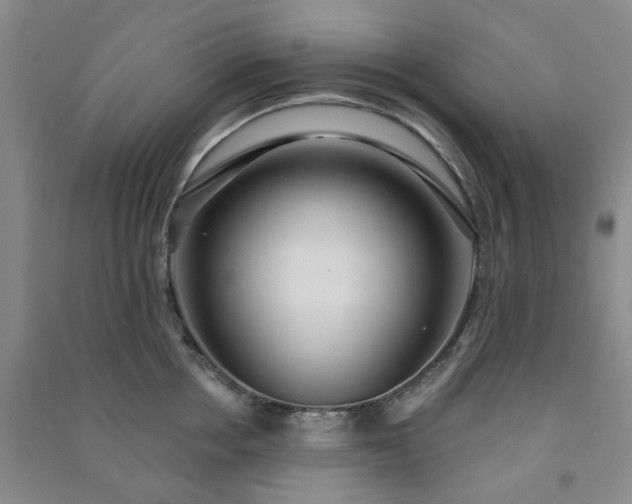 X0000091230858200708161715