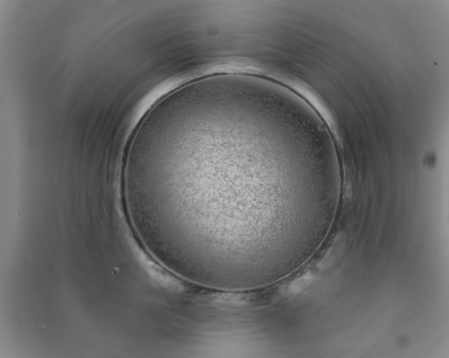 X0000091230861200708161715