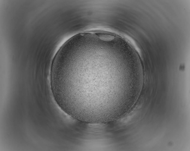 X0000091230863200708161715
