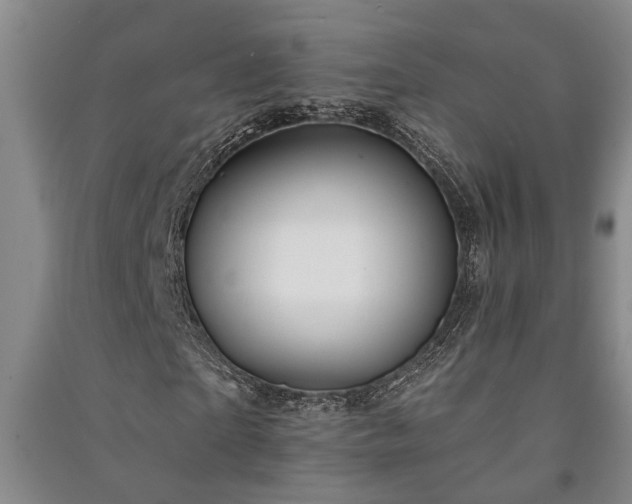 X0000091230865200708161715