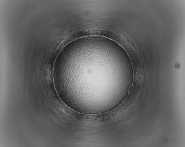 X0000091230866200708161715