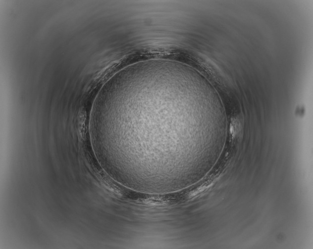 X0000091230867200708161715