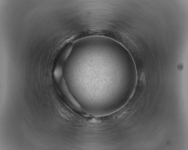 X0000091230868200708161714