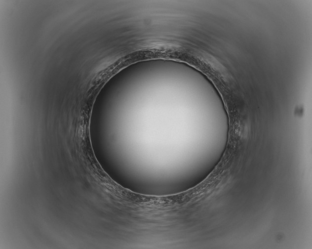 X0000091230869200708161714