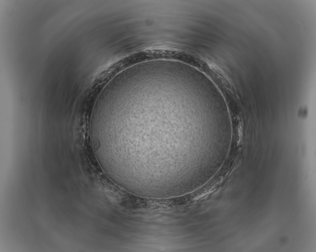 X0000091230870200708161714
