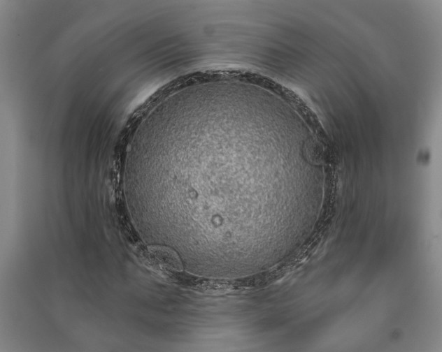 X0000091230871200708161714