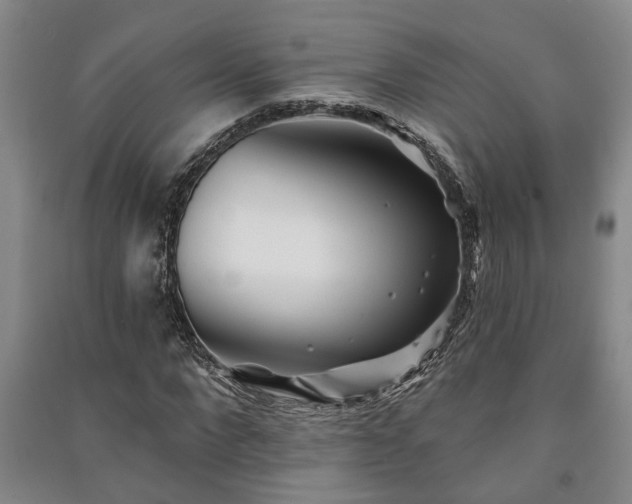 X0000091230872200708161714