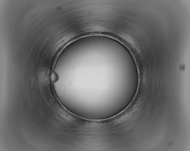 X0000091230873200708161714