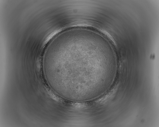 X0000091230874200708161714
