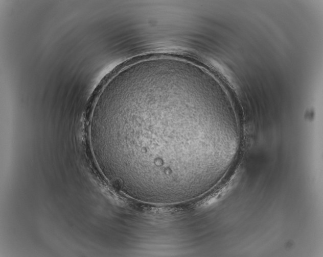 X0000091230875200708161714