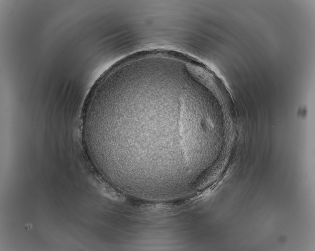 X0000091230879200708161714