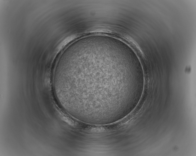 X0000091230882200708161714