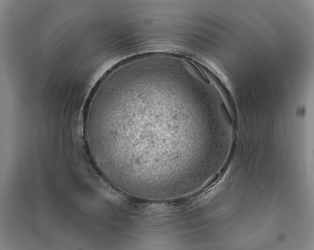 X0000091230883200708161714