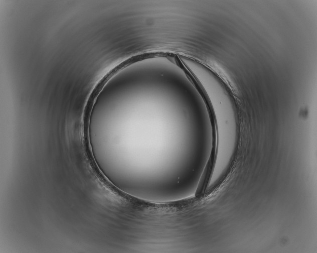 X0000091230884200708161714