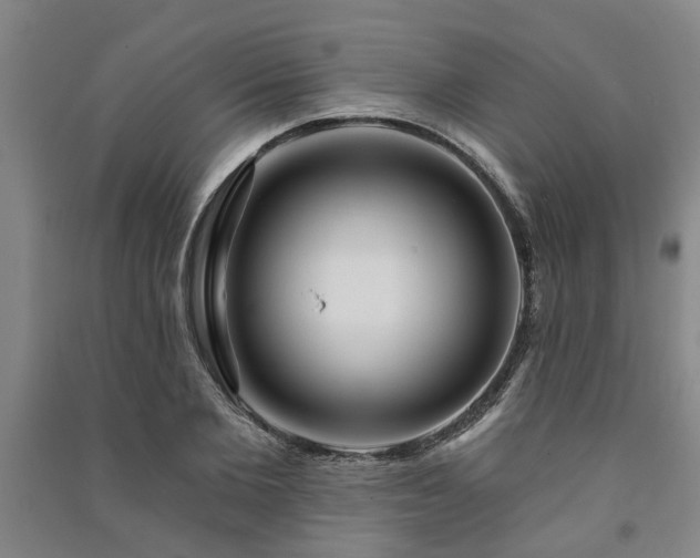 X0000091230885200708161714