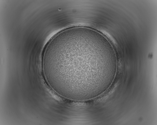X0000091230886200708161714