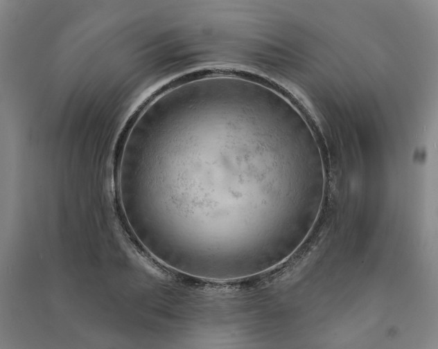X0000091230887200708161714