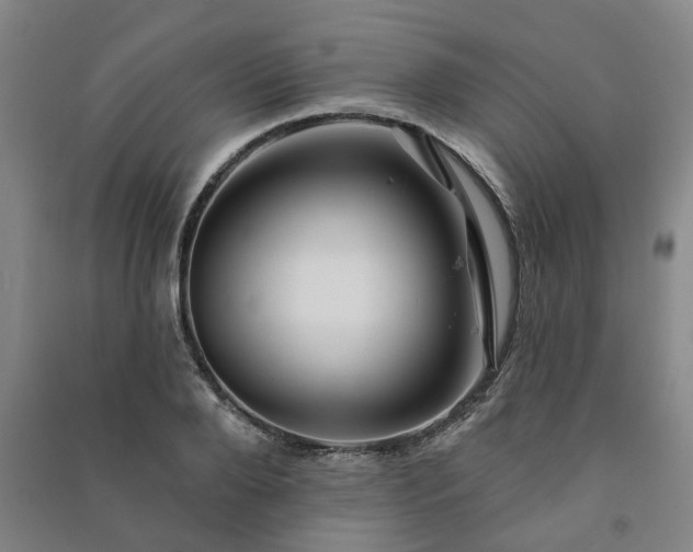 X0000091230888200708161714