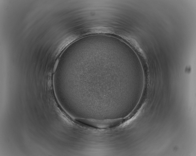 X0000091230889200708161714
