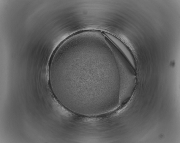 X0000091230892200708161714
