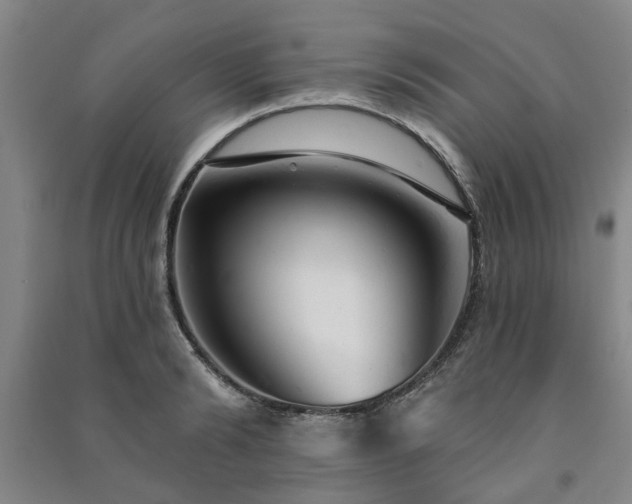 X0000091230894200708161714