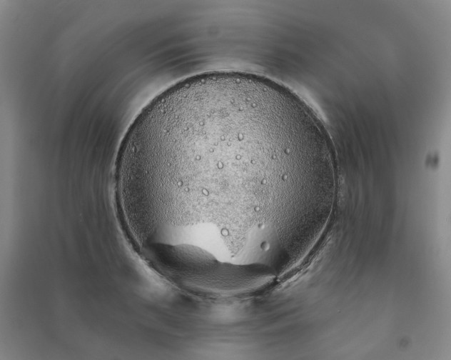 X0000091230895200708161714