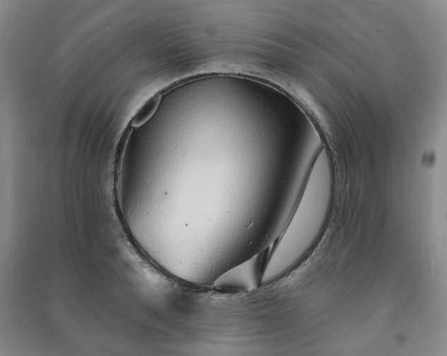 X0000091230896200708161714