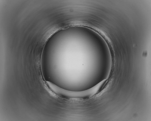 X0000091230897200708161714