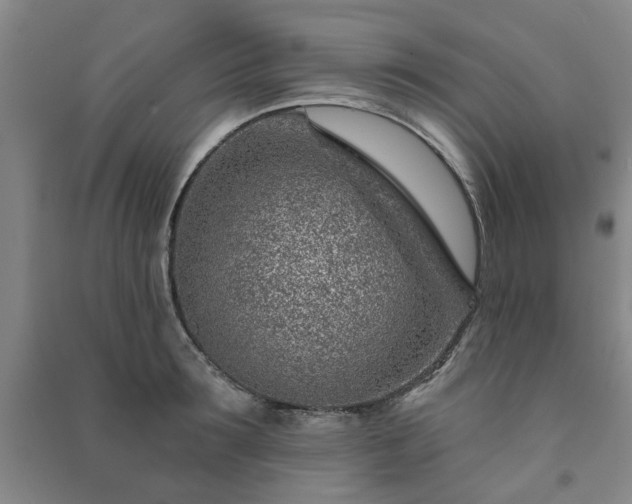 X0000091230899200708161714
