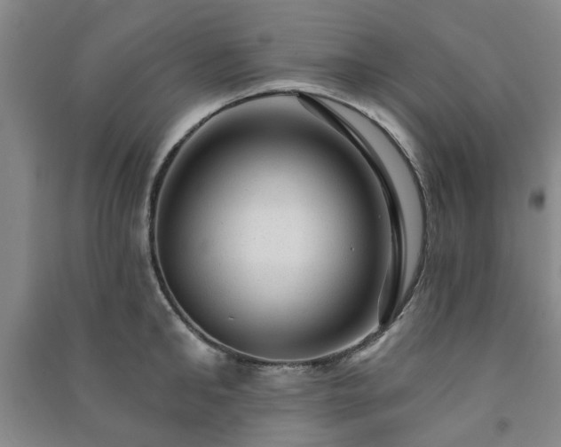 X0000091230902200708161714