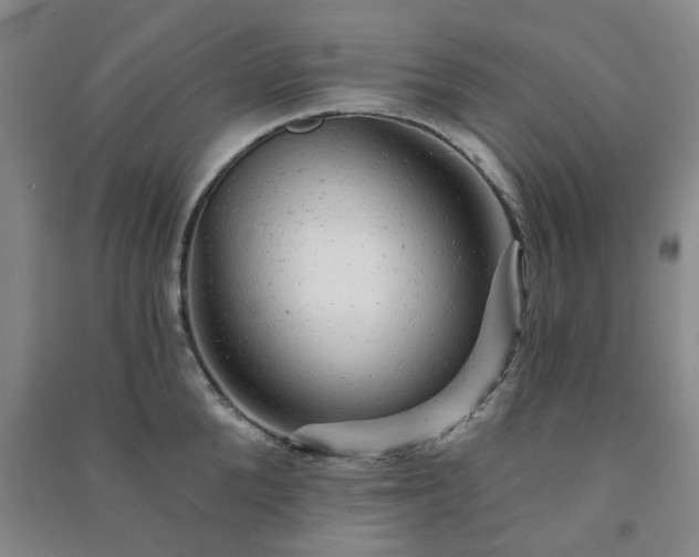 X0000091230904200708161714