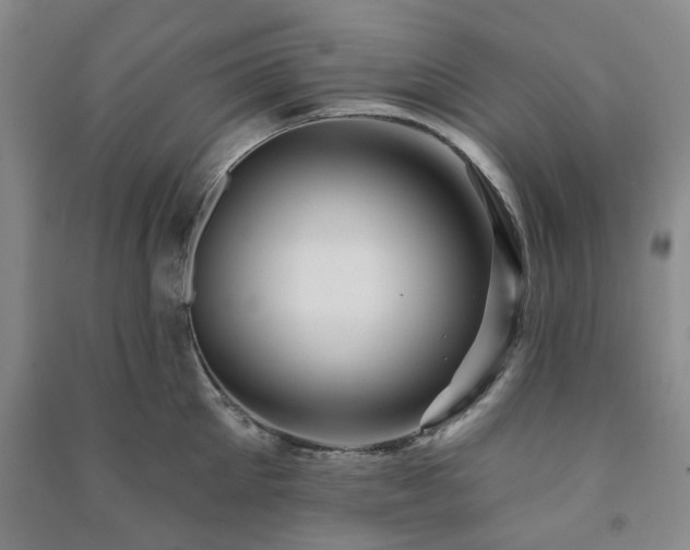 X0000091230905200708161714