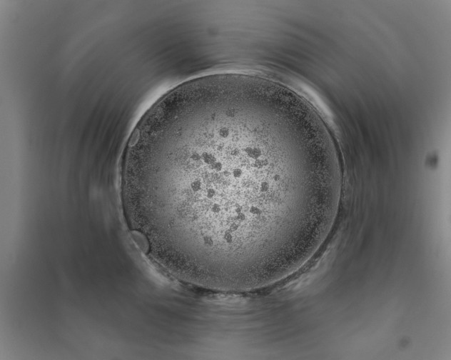 X0000091230907200708161714