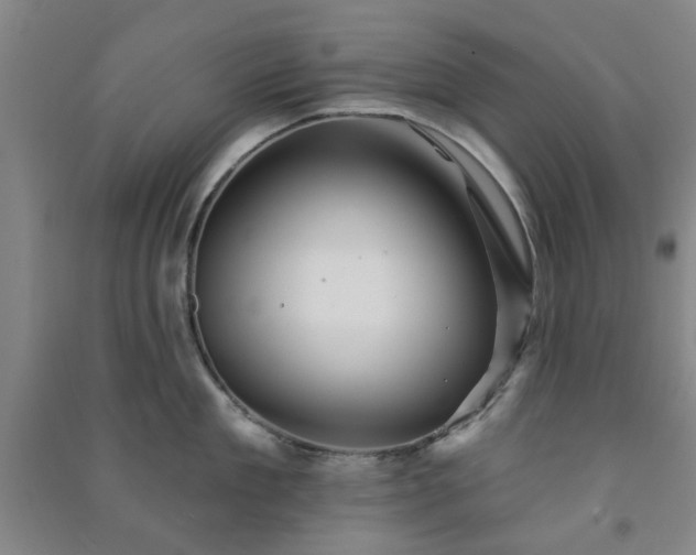 X0000091230909200708161714