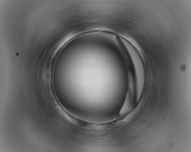 X0000091230910200708161714