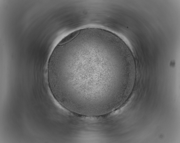 X0000091230911200708161714